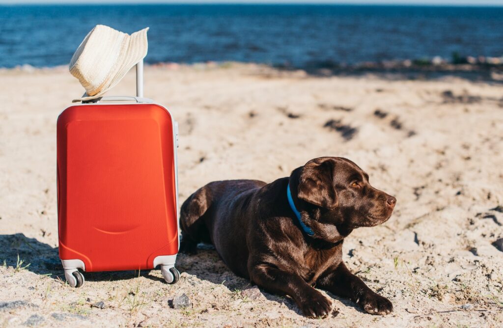 Viajar