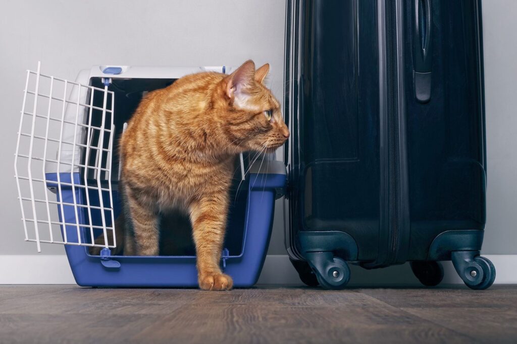 Viajar