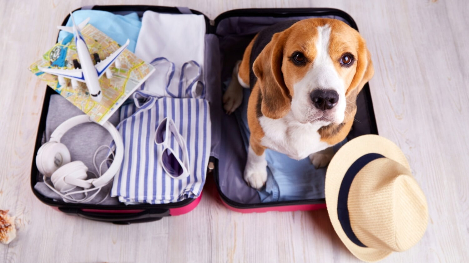 Viajar